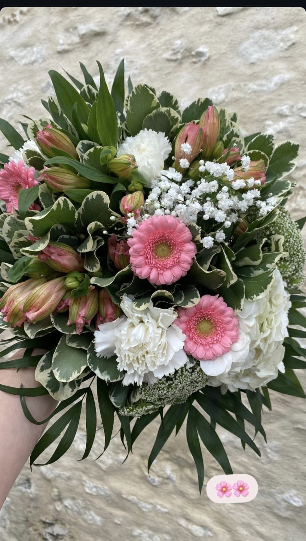 Rose, blanc & gerberas